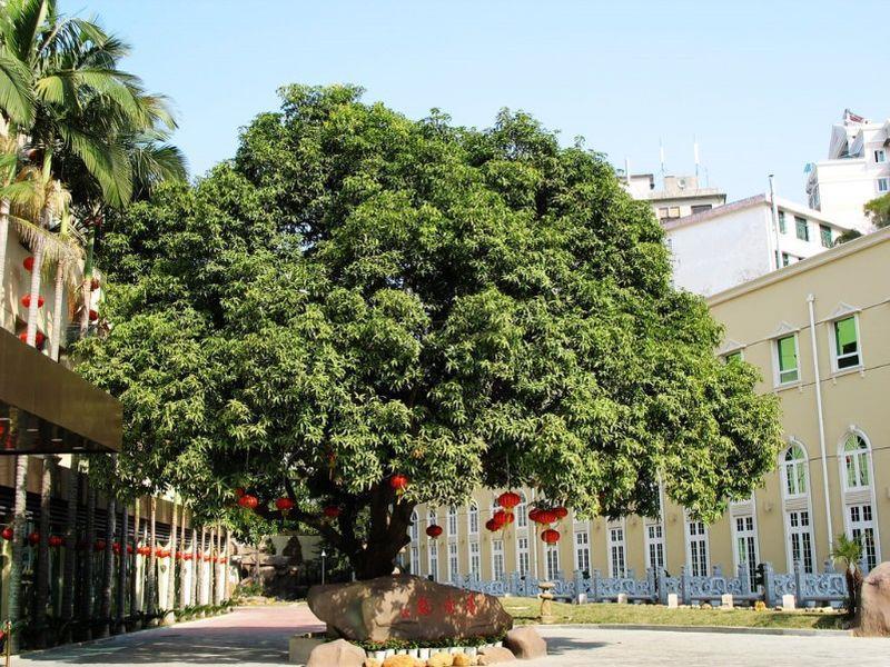 Hilford Hotel Xiamen Extérieur photo